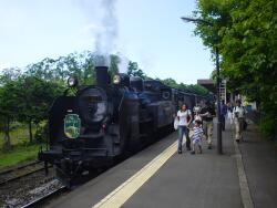 C11 207（大沼公園駅）